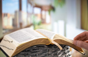 Bible Verse of the Day 6th September 2024